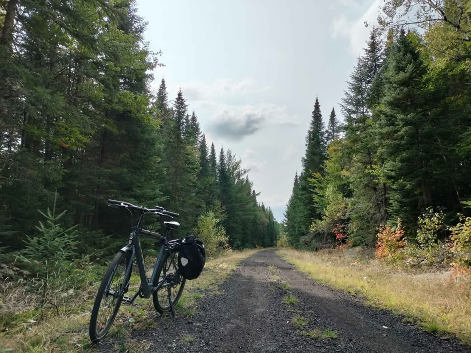 Maxwell Stoic on a forest trail